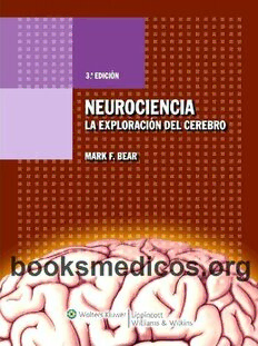 Download Neurociencia : La Exploración Del Cerebro PDF By Mark F. Bear ...