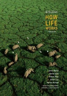 Download Biology: How Life Works 3rd Edition PDF By James Morris